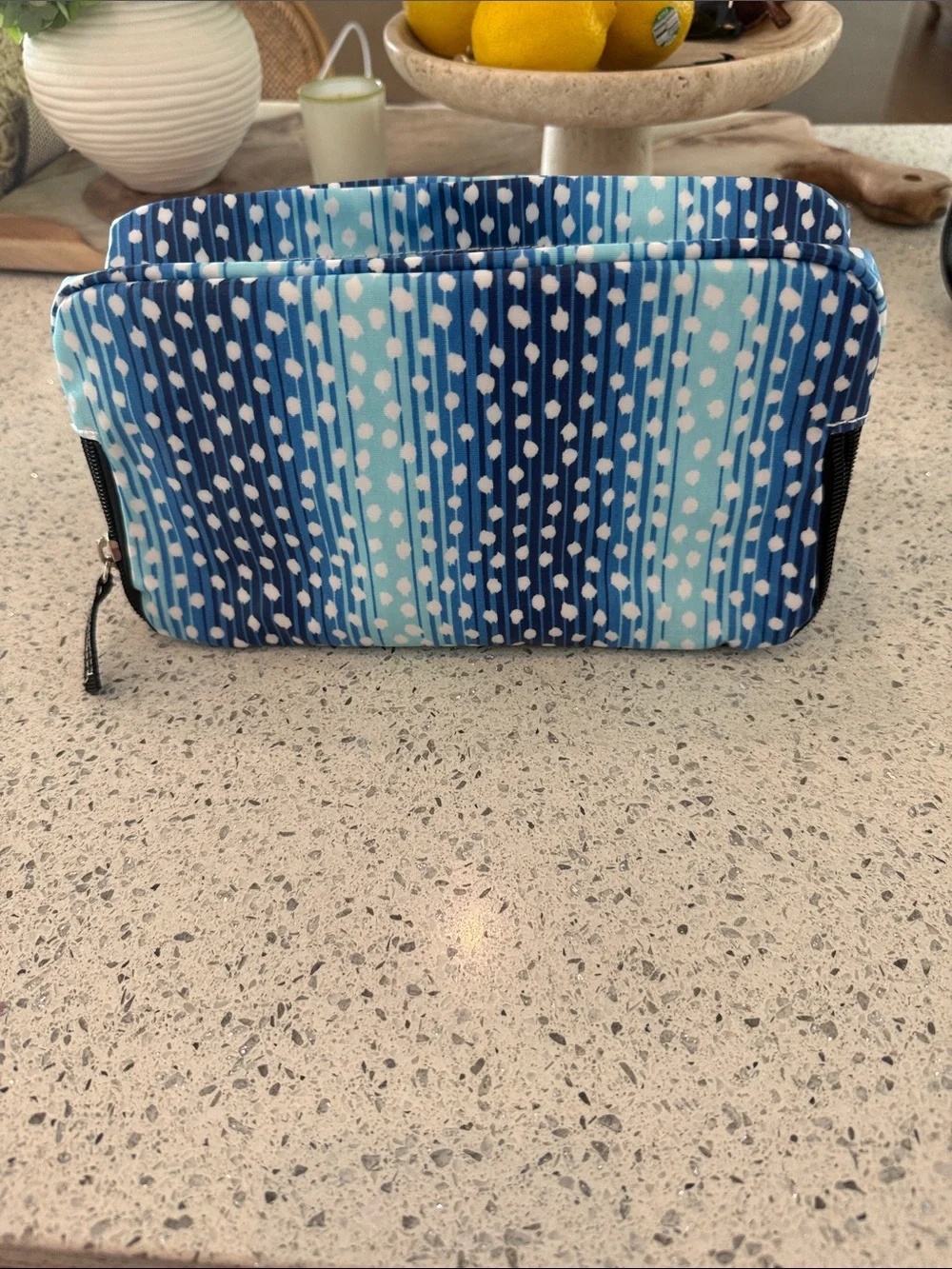 Scout Blue Dot & Stripe Cosmetic Clutch